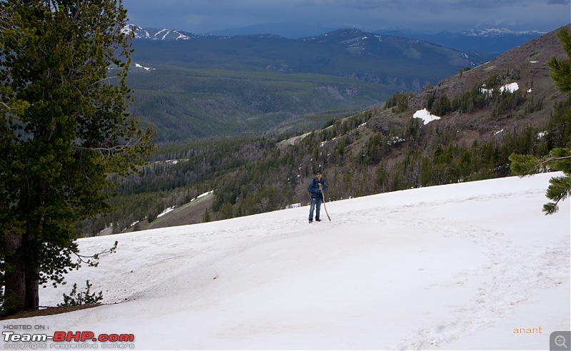 Yellowstone National Park : A Drive to Remember-dsc00729.jpg