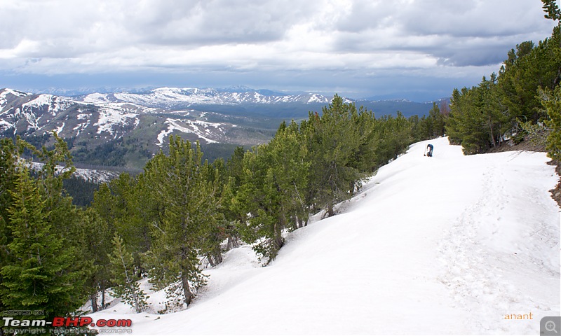 Yellowstone National Park : A Drive to Remember-dsc00732.jpg