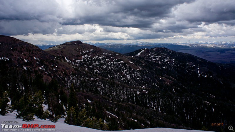 Yellowstone National Park : A Drive to Remember-dsc00739.jpg