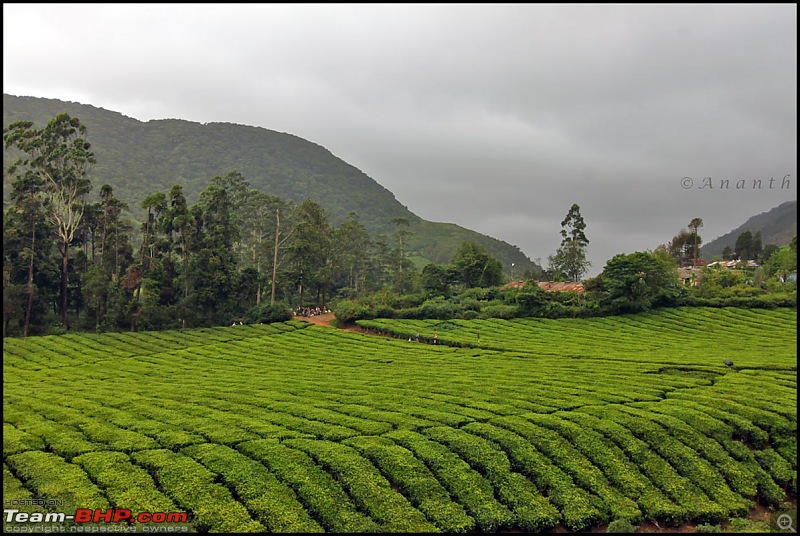 Meghamalai - The Hidden Paradise-img_0509.jpg