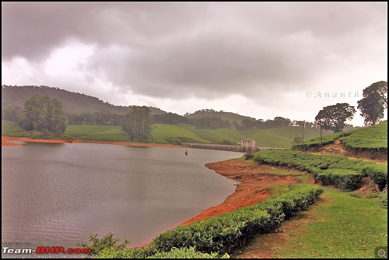 Meghamalai - The Hidden Paradise-img_0753.jpg