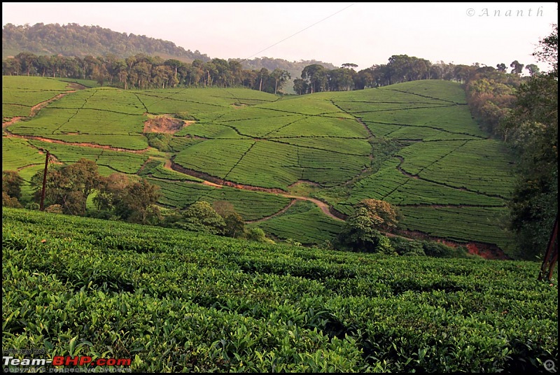 Meghamalai - The Hidden Paradise-img_0814.jpg