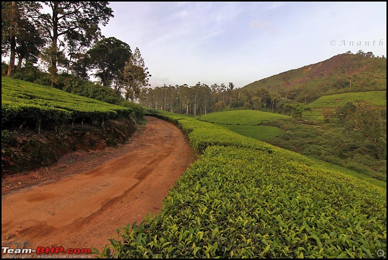 Meghamalai - The Hidden Paradise-img_0852.jpg