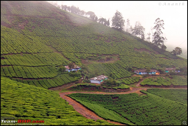 Meghamalai - The Hidden Paradise-img_0976.jpg