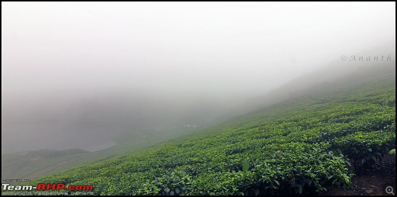 Meghamalai - The Hidden Paradise-img_0980.jpg