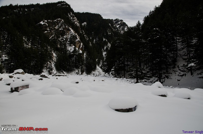 Soaring with the eagles : The ice road to Gangotri-dsc3787lrl.jpg