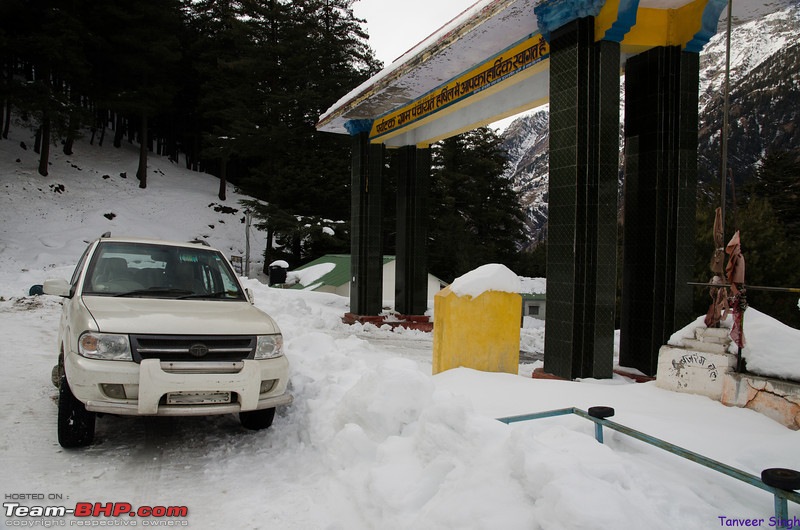 Soaring with the eagles : The ice road to Gangotri-dsc3788lrl.jpg