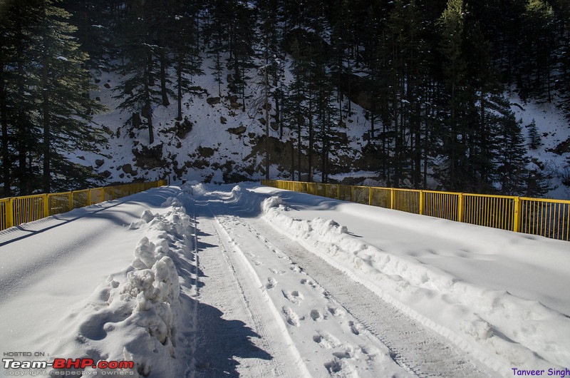 Soaring with the eagles : The ice road to Gangotri-dsc3823lrl.jpg