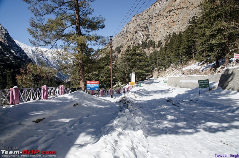 Soaring with the eagles : The ice road to Gangotri-dsc3834lrl.jpg