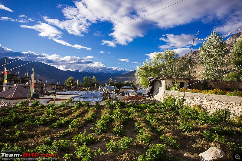 Reflecting on Driving Addictions - Bangalore to Spiti and Changthang-78.jpg