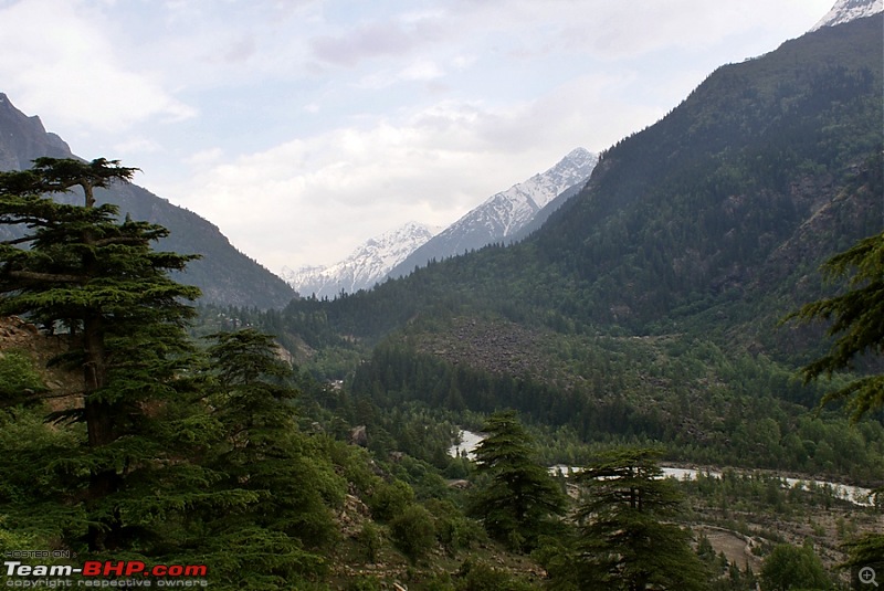 Spiti Drive, June 2012 - Family, Friends, Border Posts, Wildlife and more...-dsc09677.jpg