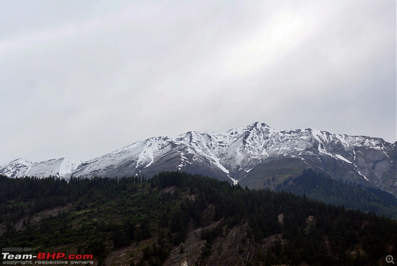 Spiti Drive, June 2012 - Family, Friends, Border Posts, Wildlife and more...-dsc09744.jpg