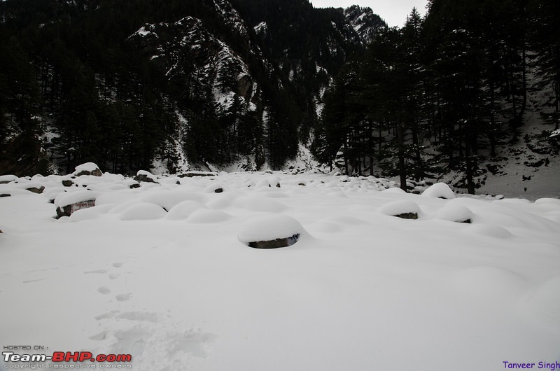 Soaring with the eagles : The ice road to Gangotri-dsc3916lrl.jpg