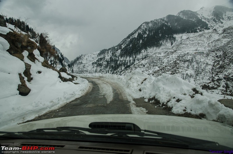 Soaring with the eagles : The ice road to Gangotri-dsc3933lrl.jpg