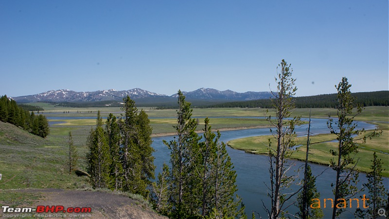 Yellowstone National Park : A Drive to Remember-dsc00960.jpg