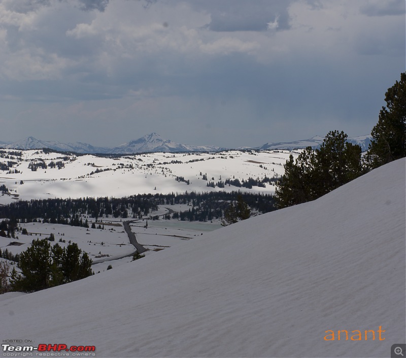 Yellowstone National Park : A Drive to Remember-dsc01005.jpg