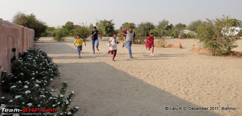 Rajasthan - Padharo Mhare Des-dsc02690.jpg