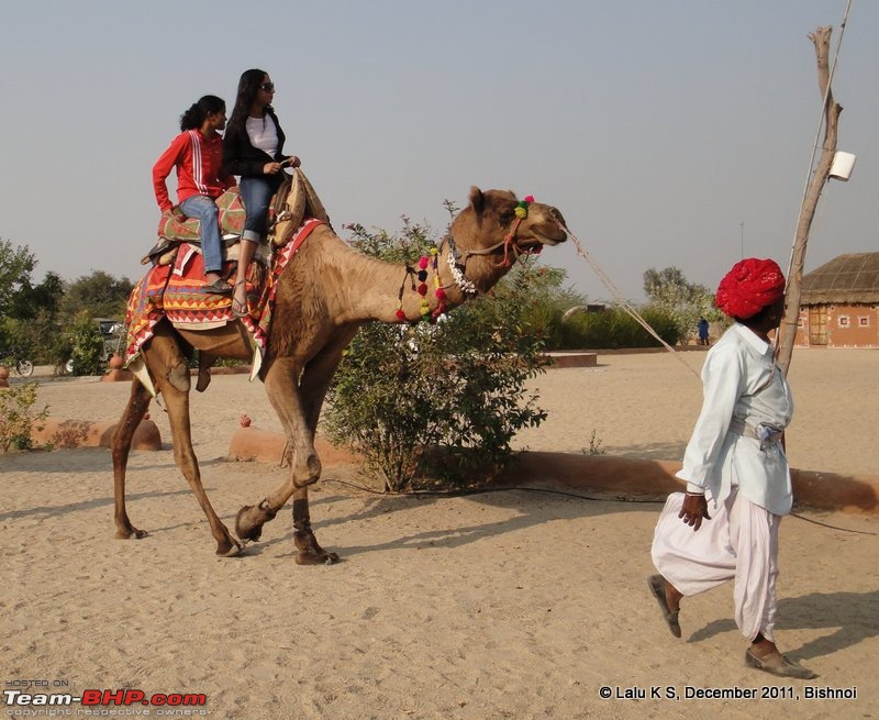 Rajasthan - Padharo Mhare Des-dsc02689.jpg