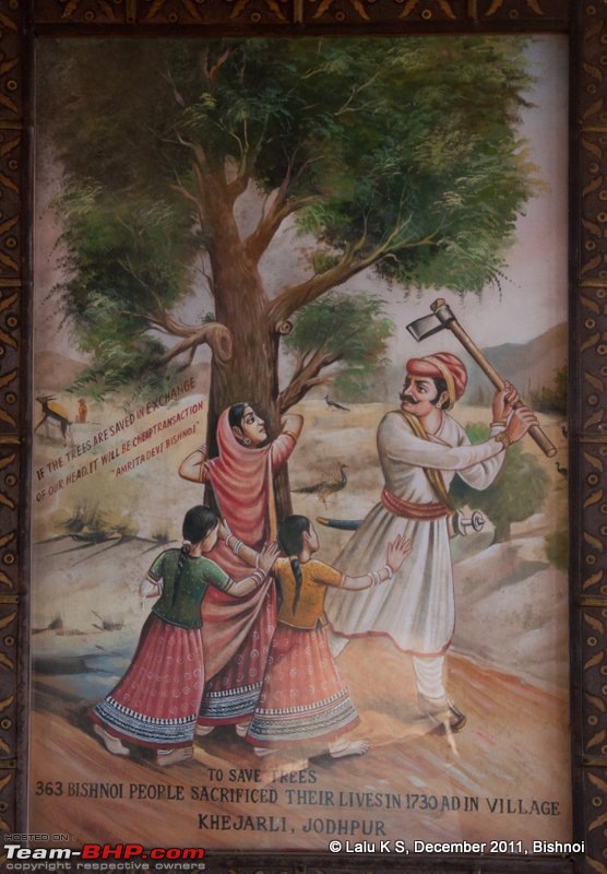 Rajasthan - Padharo Mhare Des-dsc_1885.jpg