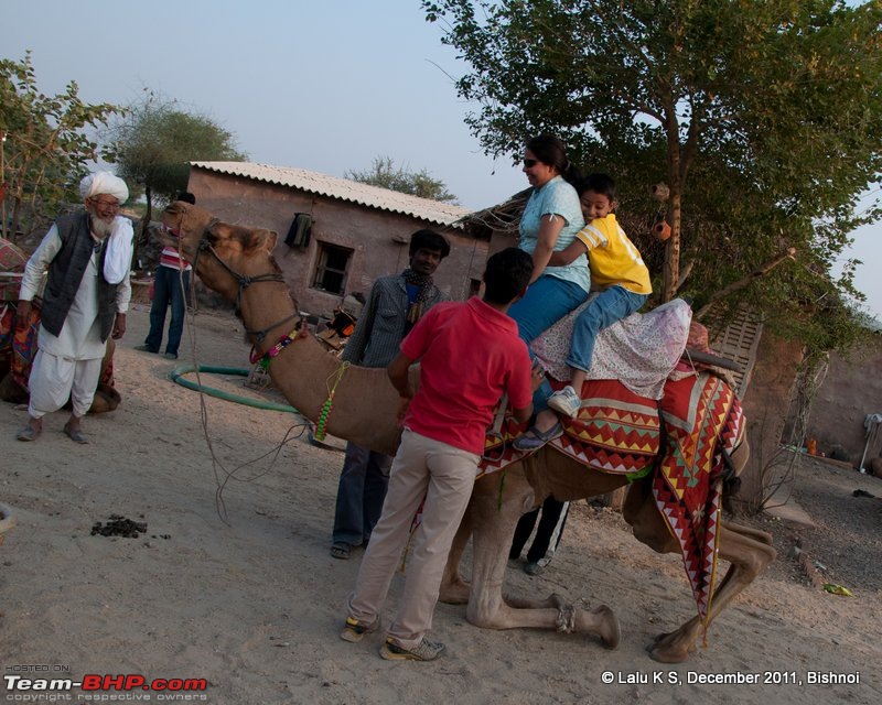 Rajasthan - Padharo Mhare Des-dsc_1921.jpg