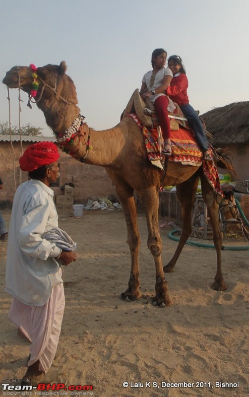 Rajasthan - Padharo Mhare Des-dsc02703.jpg