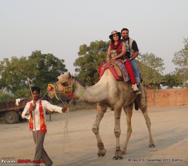 Rajasthan - Padharo Mhare Des-dsc02719.jpg