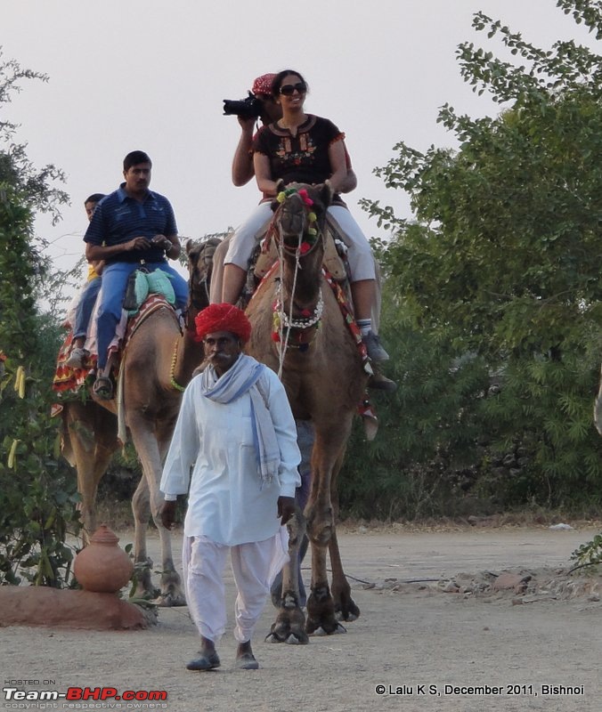 Rajasthan - Padharo Mhare Des-dsc02723.jpg