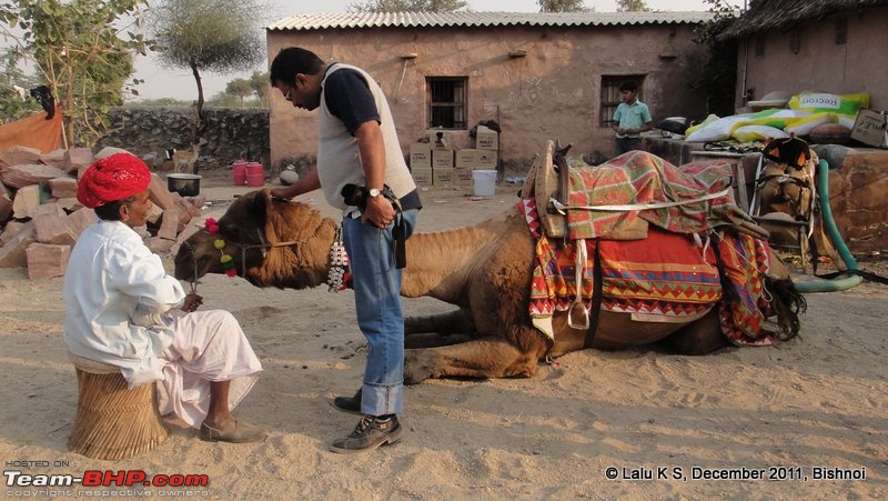 Rajasthan - Padharo Mhare Des-dsc02702.jpg