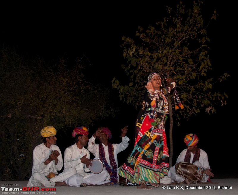Rajasthan - Padharo Mhare Des-dsc_2114.jpg