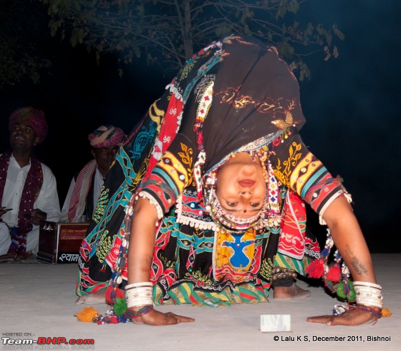Rajasthan - Padharo Mhare Des-dsc_2091.jpg