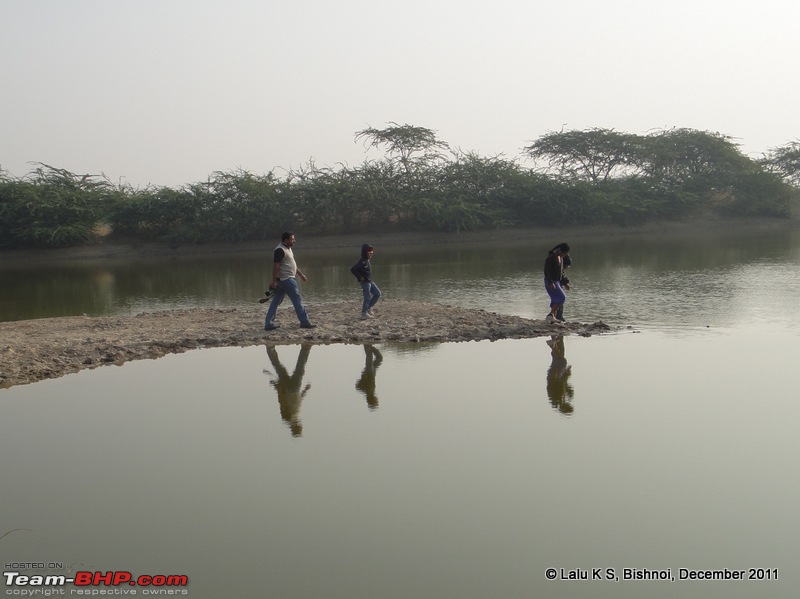 Rajasthan - Padharo Mhare Des-dsc02805.jpg