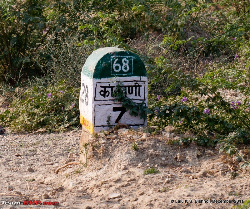 Rajasthan - Padharo Mhare Des-dsc_2247.jpg