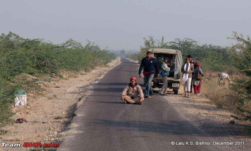 Rajasthan - Padharo Mhare Des-dsc_2249.jpg