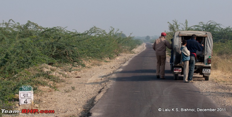 Rajasthan - Padharo Mhare Des-dsc_2253.jpg