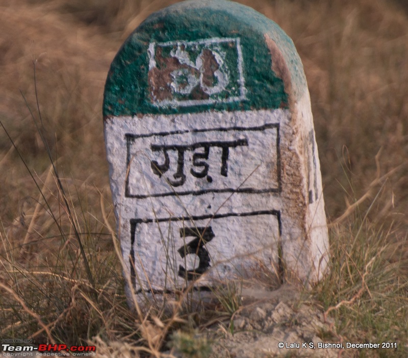 Rajasthan - Padharo Mhare Des-dsc_2254.jpg