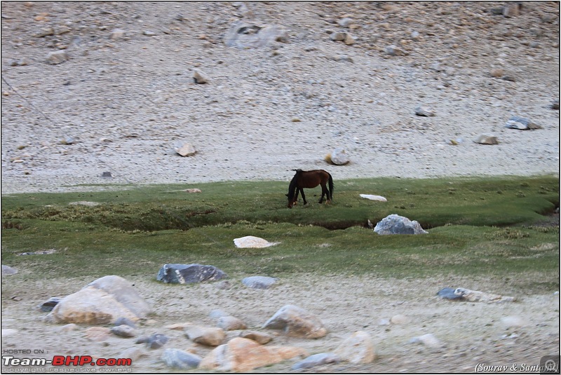 A journey through Leh & Ladakh  Barren beauty at its best-img_7114.jpg