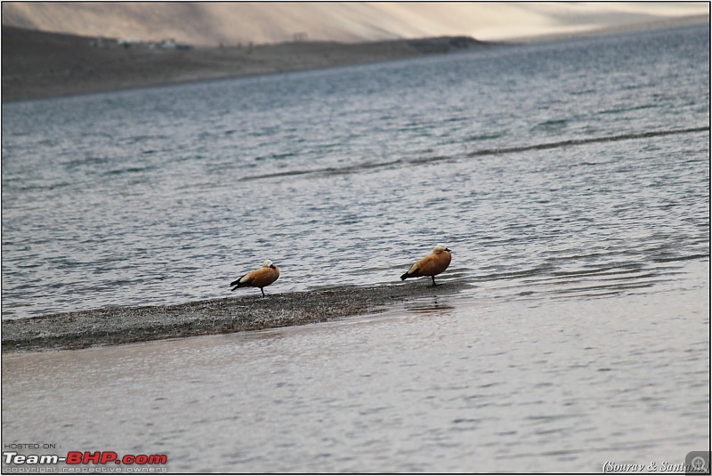 A journey through Leh & Ladakh  Barren beauty at its best-img_7337.jpg