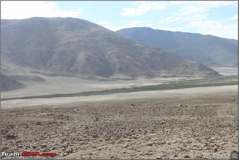 A journey through Leh & Ladakh  Barren beauty at its best-img_7568.jpg