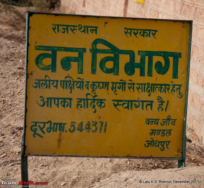 Rajasthan - Padharo Mhare Des-dsc_2297.jpg