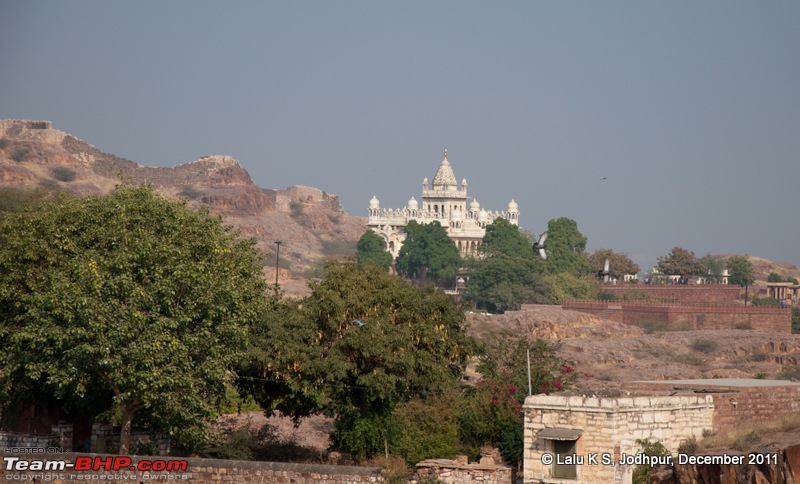 Rajasthan - Padharo Mhare Des-dsc_2432.jpg