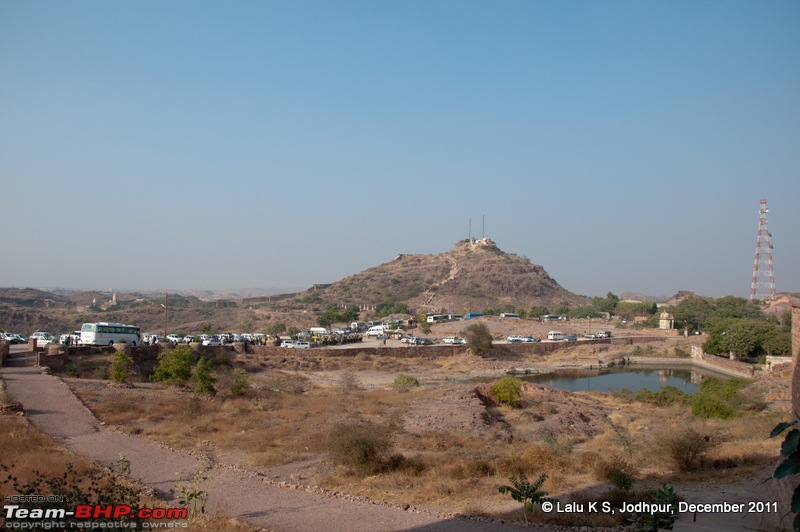 Rajasthan - Padharo Mhare Des-dsc_2436.jpg
