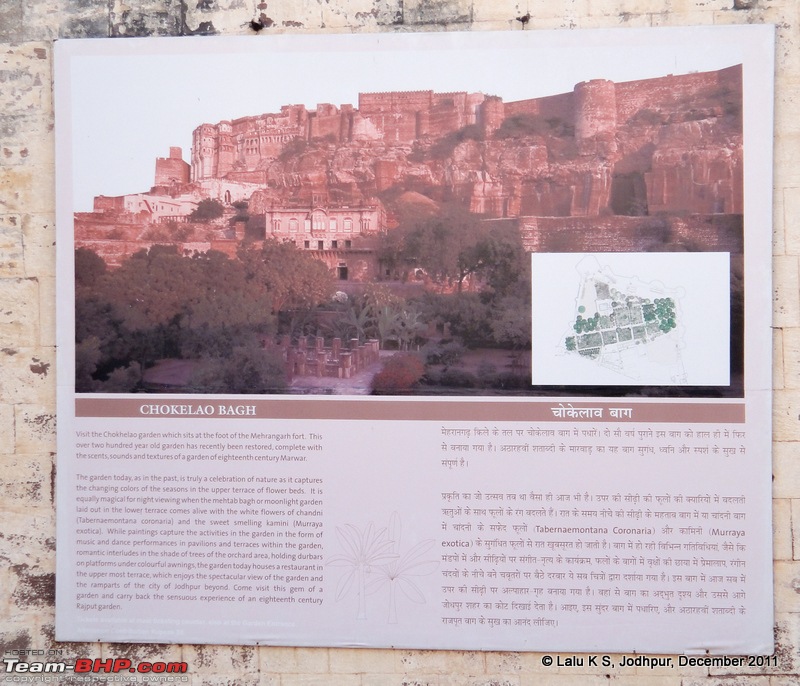 Rajasthan - Padharo Mhare Des-dsc02840.jpg