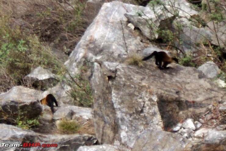 Spiti Drive, June 2012 - Family, Friends, Border Posts, Wildlife and more...-dsc00194.jpg