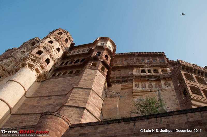 Rajasthan - Padharo Mhare Des-dsc_2485.jpg