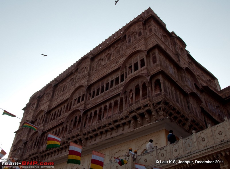 Rajasthan - Padharo Mhare Des-dsc_2490.jpg
