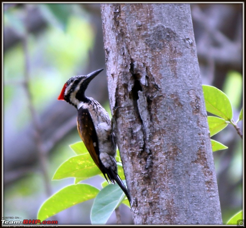 A shutterbug experiences around chennai - Weekend getaways in chennai-img_9233.jpg