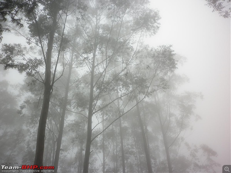 Munnar - A dash to the bewitching place inspired by Team-BHP-fog4.jpg