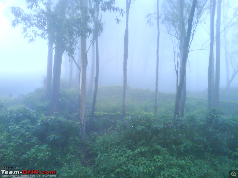 Munnar - A dash to the bewitching place inspired by Team-BHP-dsc00691.jpg