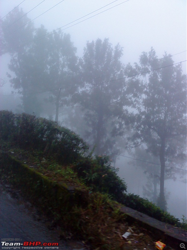 Munnar - A dash to the bewitching place inspired by Team-BHP-dsc01383.jpg