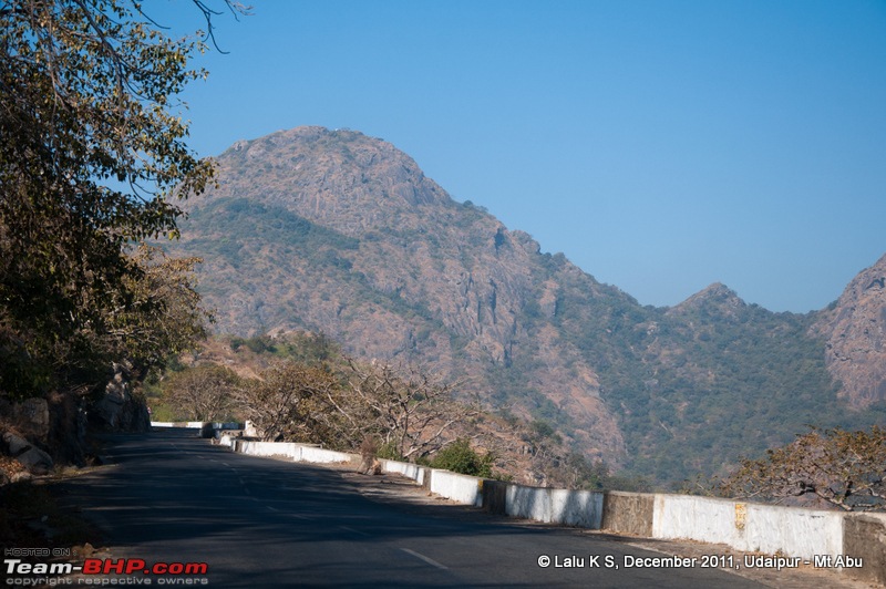 Rajasthan - Padharo Mhare Des-dsc_3294.jpg